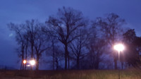 Today and Every Day - I Make Pictures May 2015-2016