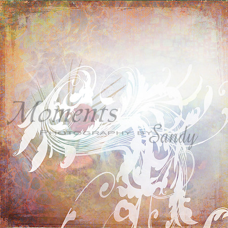 My Heart Begins and Ends