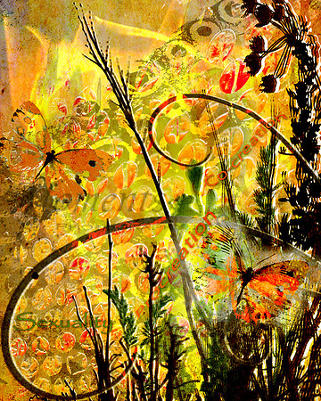 Orange energy - co-creation, procreation, sexuality