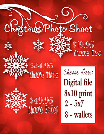 Modern Snowflakes Back Cropped